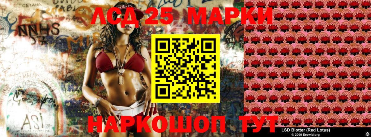 ЭКСТАЗИ Гусев