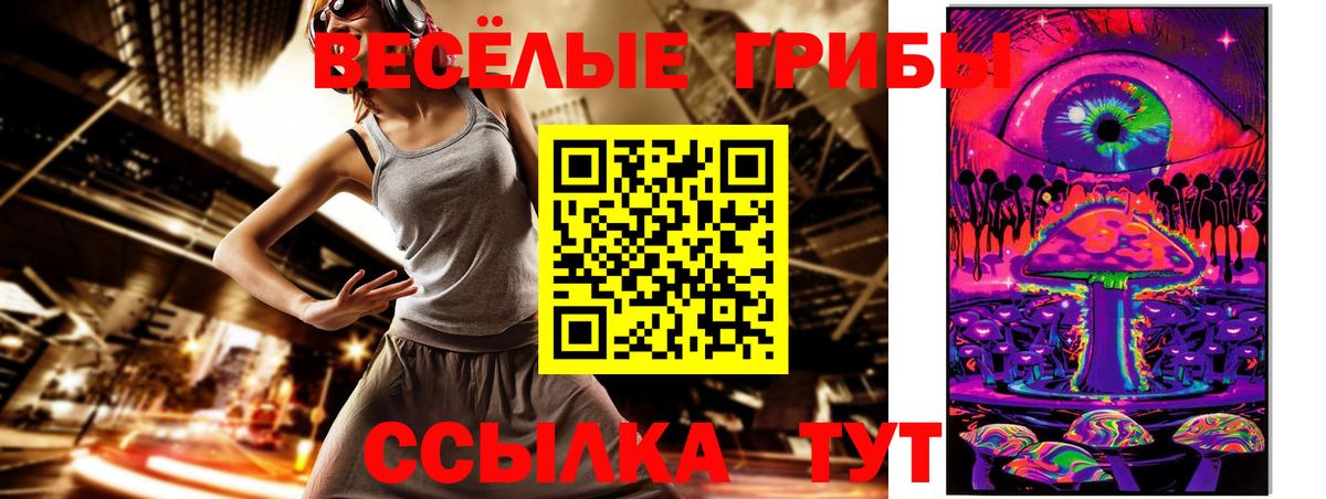 Галлюциногенные грибы прущие грибы  Галлюциногенные грибы прущие грибы  Вход с VPN  Гусев 